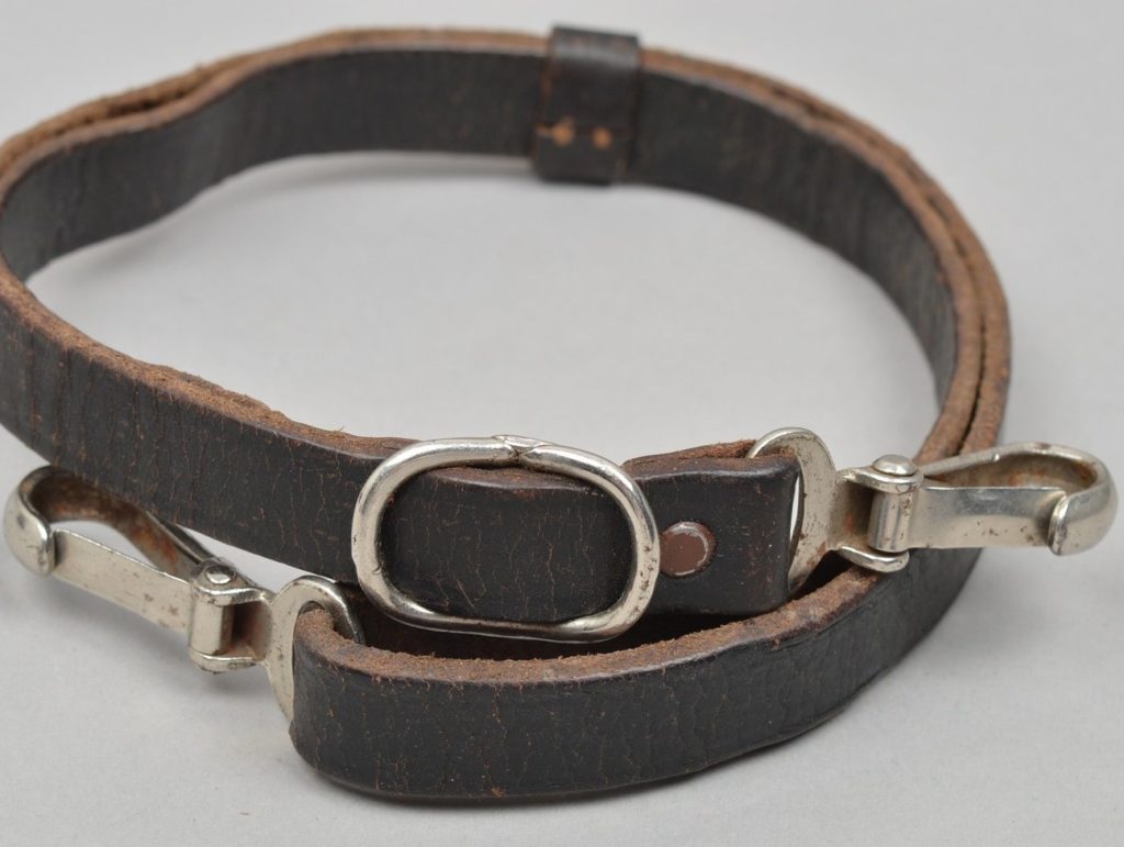 Political Cross Strap (Early type)